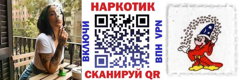 Купить закладку Шенкурск Псилоцибиновые грибы  А ПВП  Гашиш  Cocaine  Бошки Шишки 