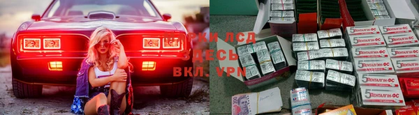 гашик Вязьма
