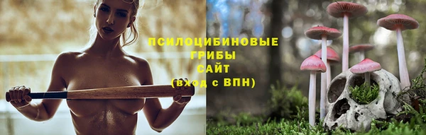 гашик Вязьма