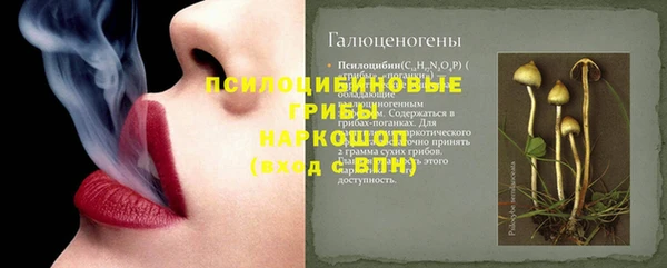 гашик Вязьма