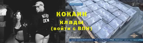гашик Вязьма