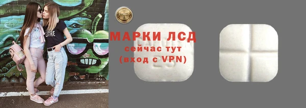 гашик Вязьма
