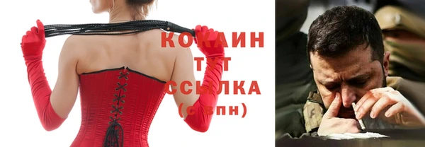 гашик Вязьма