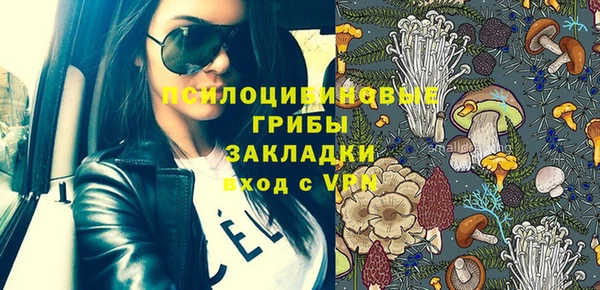 прущая мука Вязники