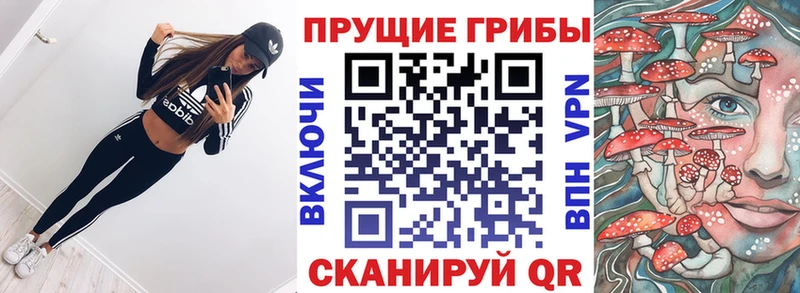 Галлюциногенные грибы ЛСД  Шенкурск 